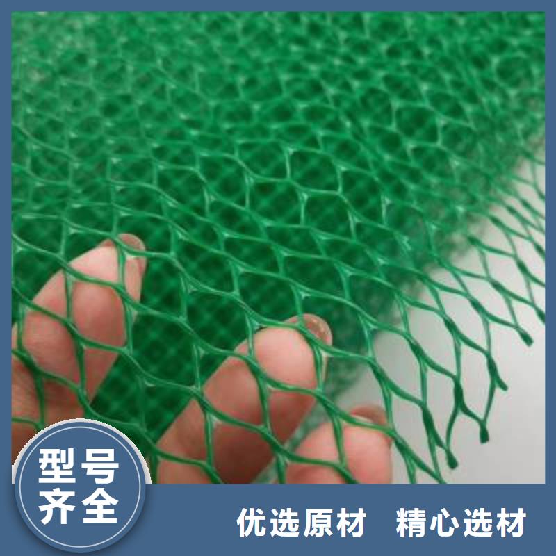 抗老化三维植被网多规格可定制