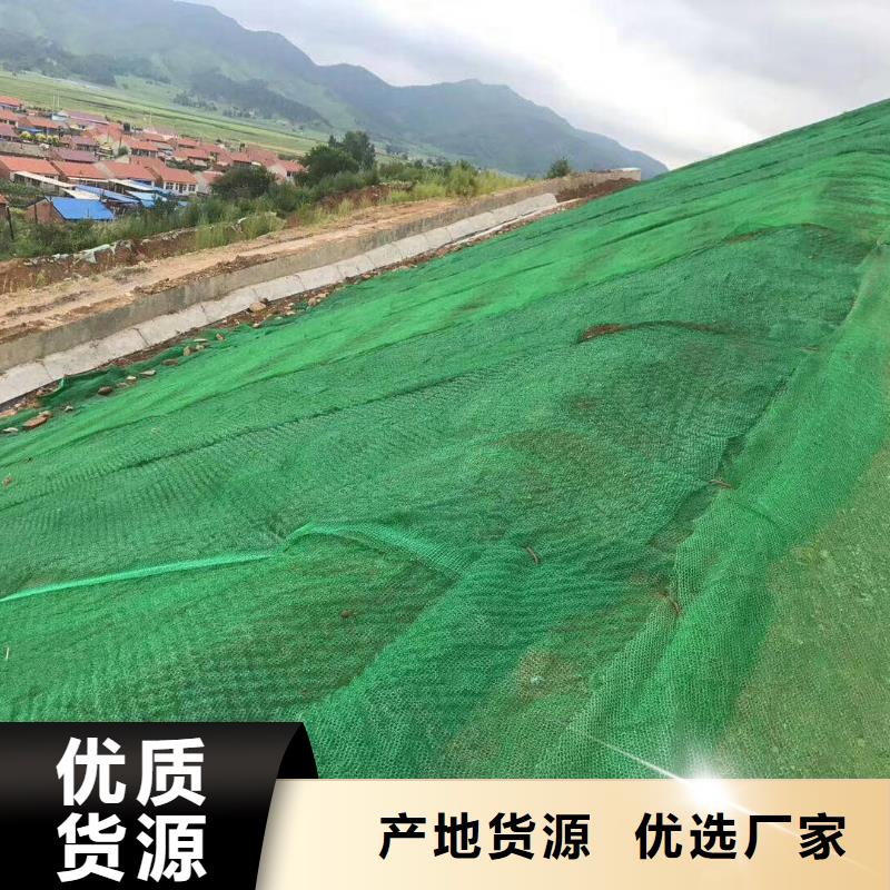 多规格三维植被网厂家直供