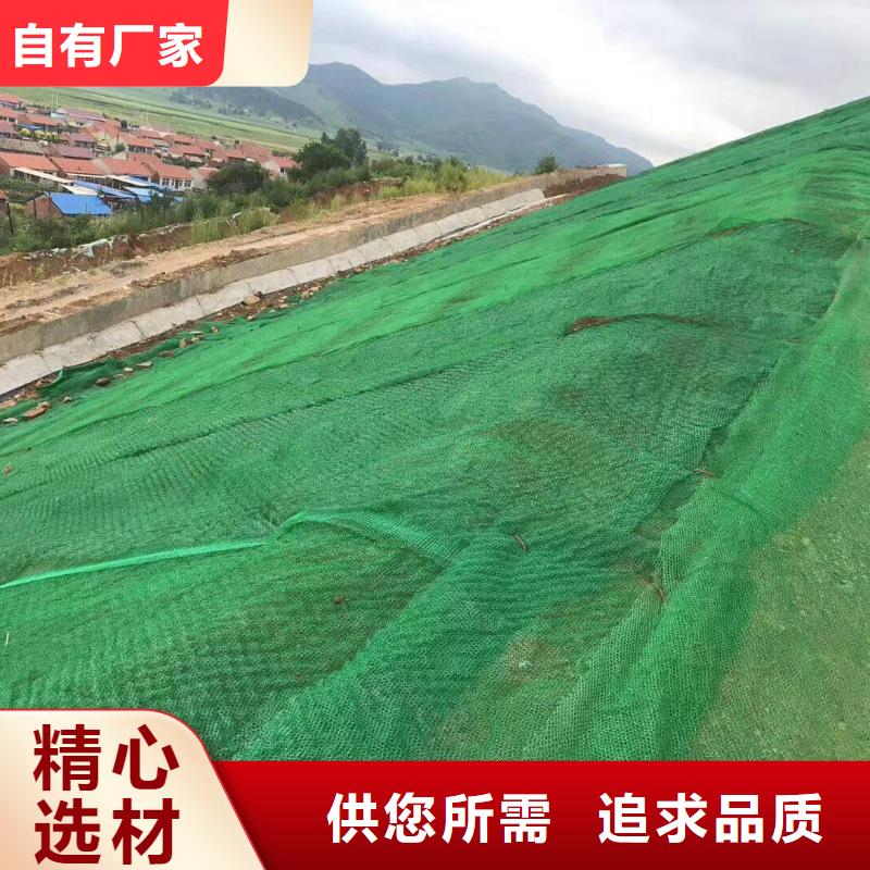 多规格三维植被网生产厂家哪家好