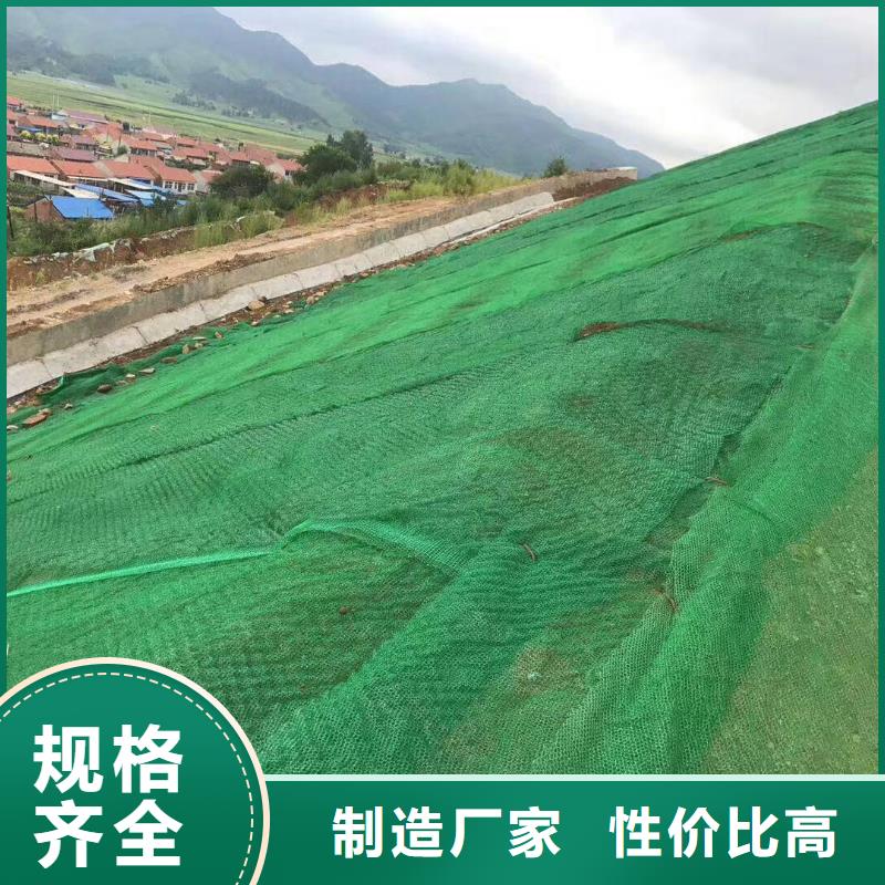 2025塑料三维植被网本年度报价