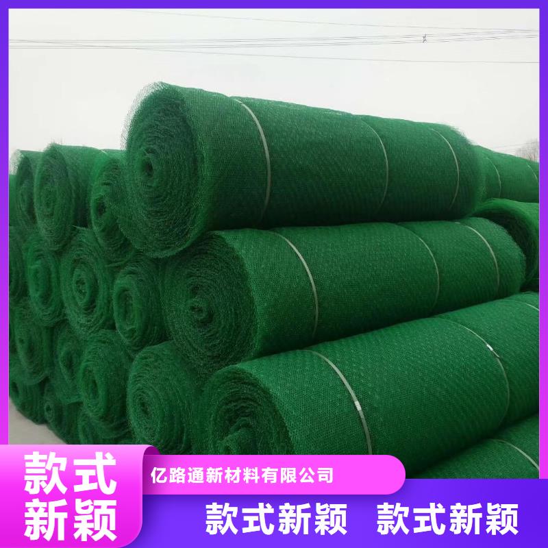 三维植被网钢塑土工格栅质检合格发货