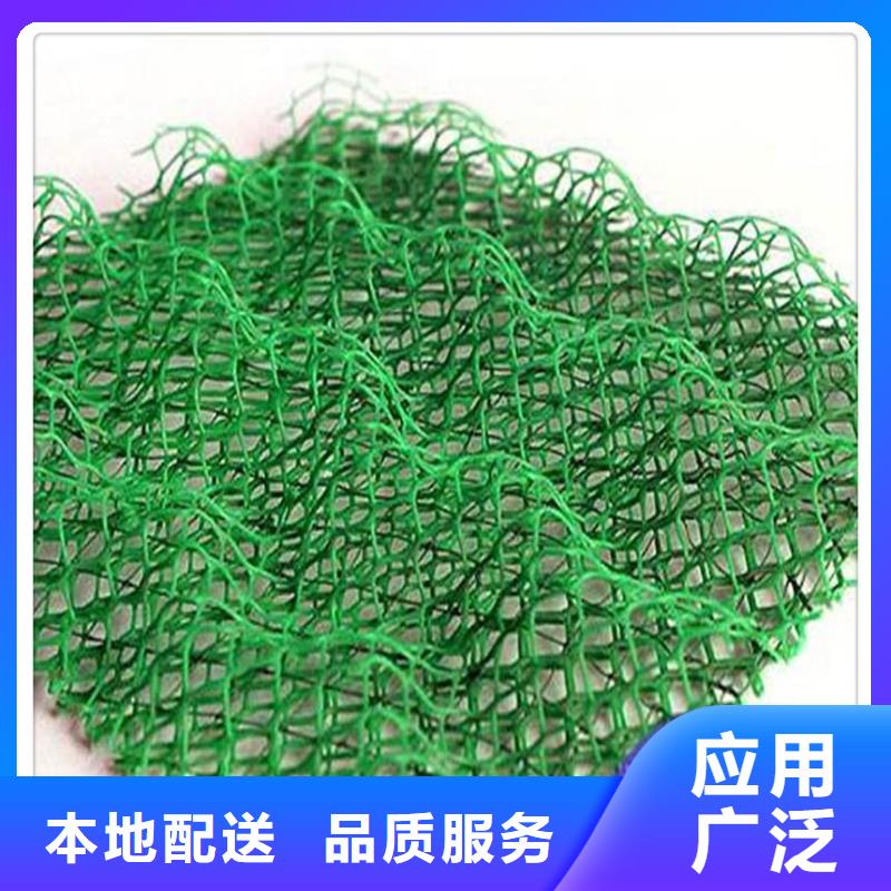 抗老化三维植被网厂家直供