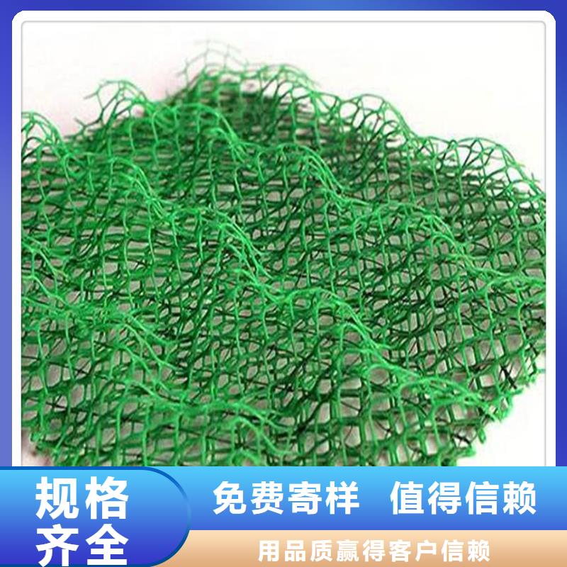 边坡防护三维植被网厂家直供