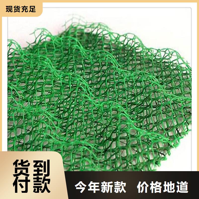 绿化环保三维植被网本年度报价