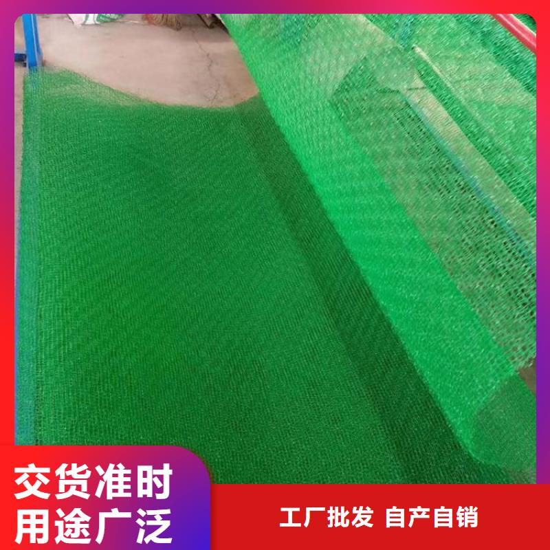 边坡防护三维植被网本年度报价