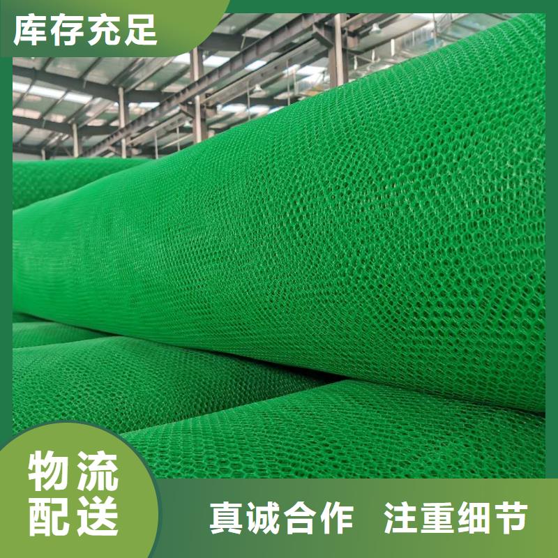 多规格三维植被网厂家直供