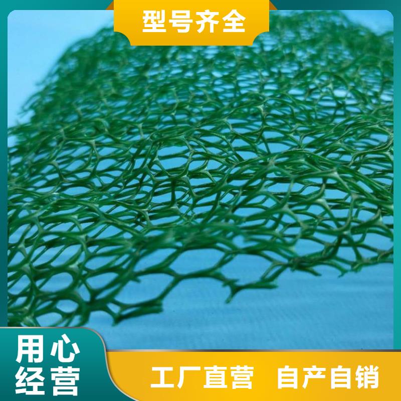 绿化三维植被网生产厂家哪家好