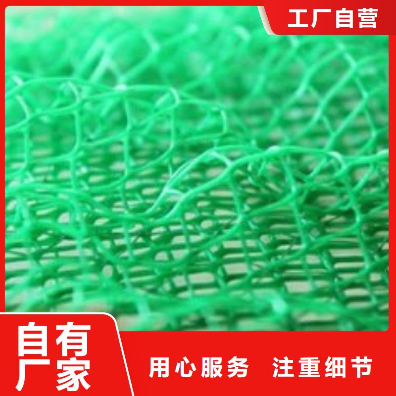 多规格三维植被网厂家直供