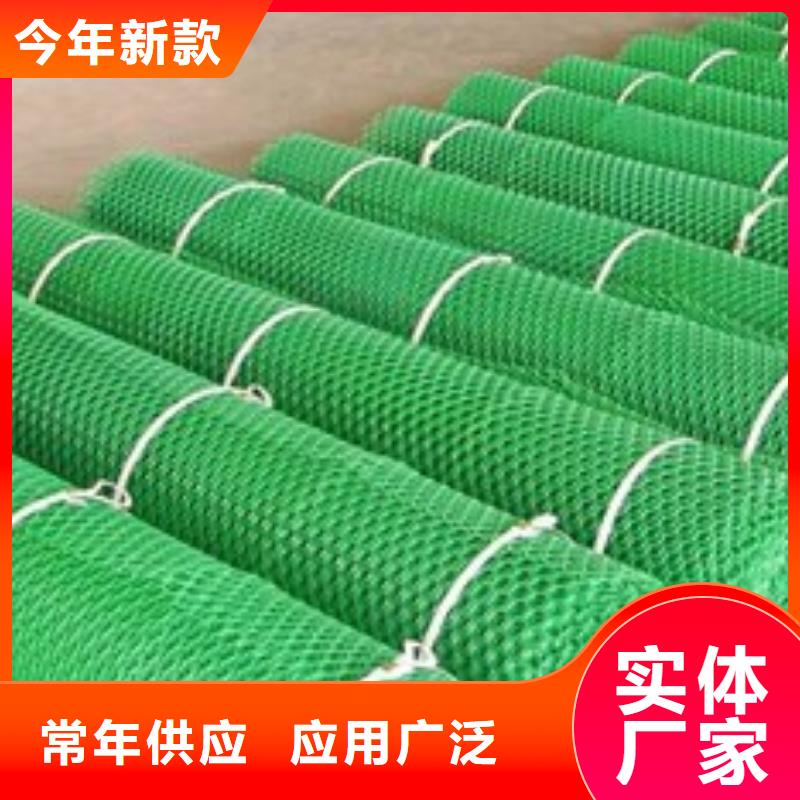 多规格三维植被网厂家直供