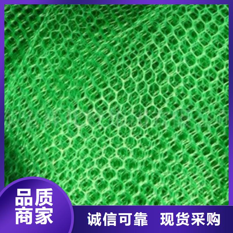 多规格三维植被网厂家直供