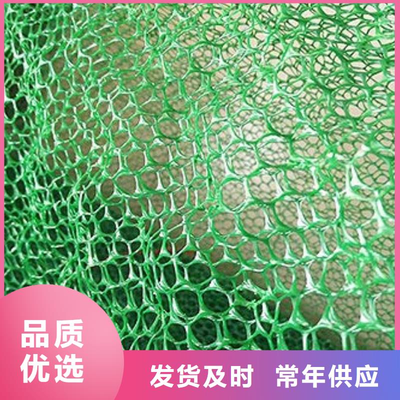 多规格三维植被网厂家直供