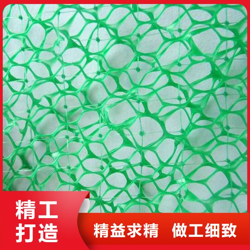多规格三维植被网厂家直供