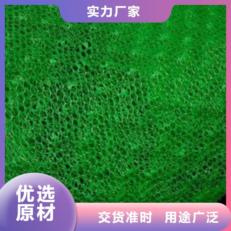 多规格三维植被网厂家直供