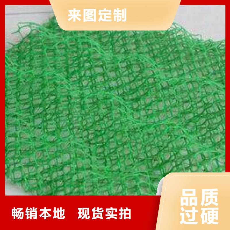 新型三维植被网实力厂家/现货供应