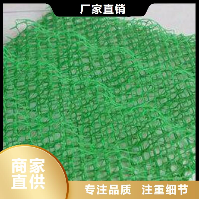 多规格三维植被网厂家直供
