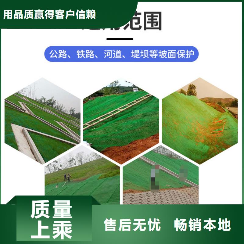 绿色三维植被网生产基地哪里有？