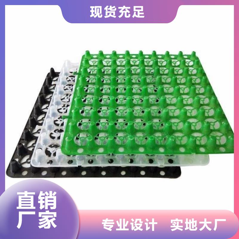 塑料排水板HDPE土工膜诚信经营现货现发