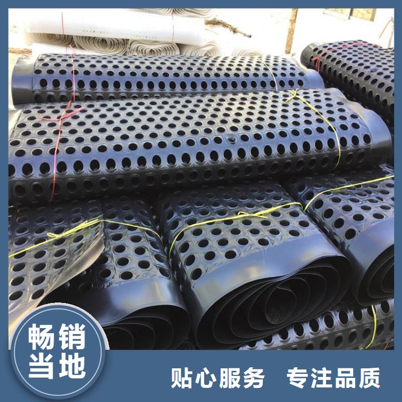 塑料排水板,凸结点钢塑土工格栅精工细致打造