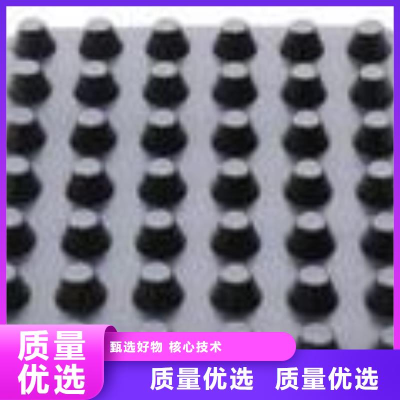 塑料排水板防渗膜工厂直供