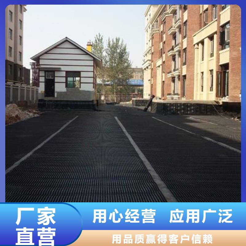 塑料排水板涤纶土工格栅质优价廉