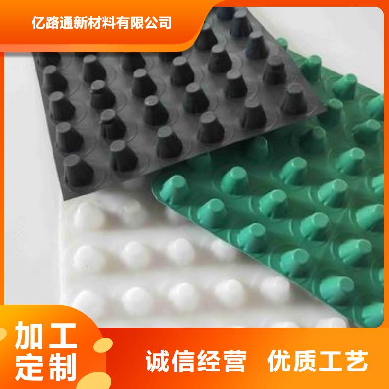 塑料排水板钢塑土工格栅海量现货