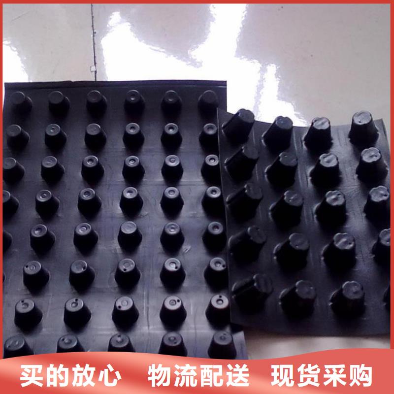 塑料排水板涤纶土工格栅质优价廉
