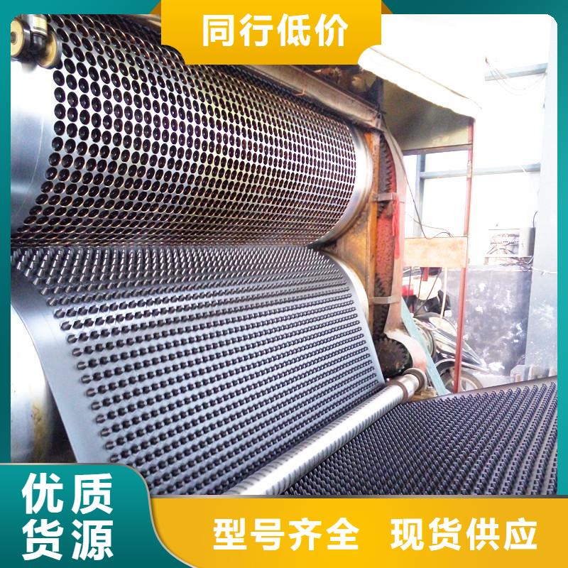 塑料排水板三维土工网垫拥有核心技术优势