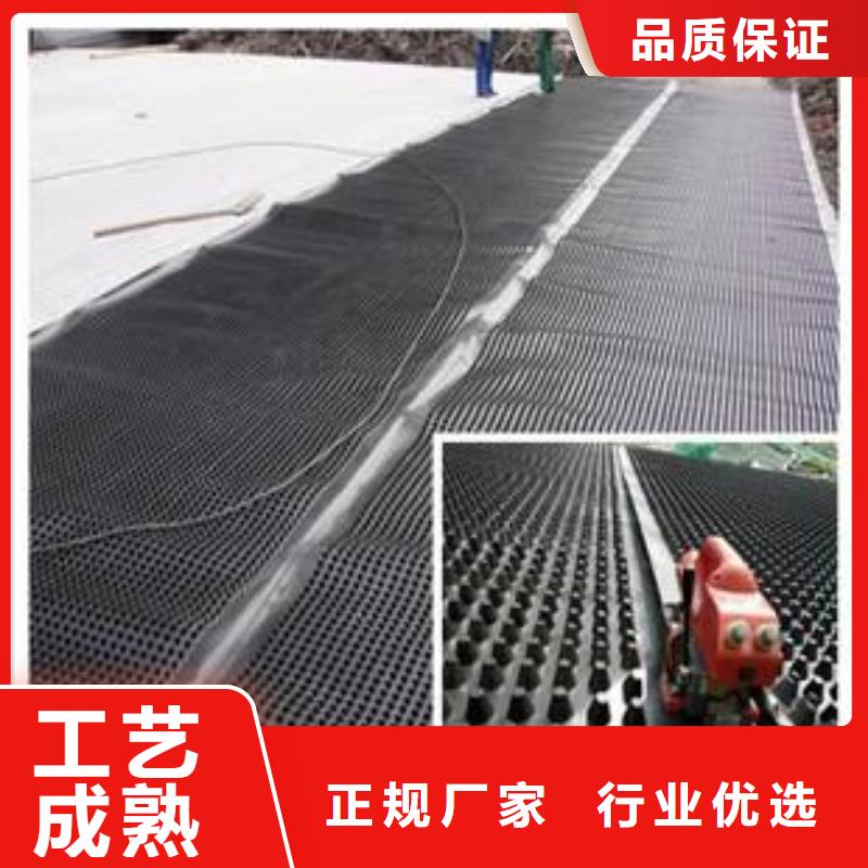 塑料排水板土工席垫闪电发货