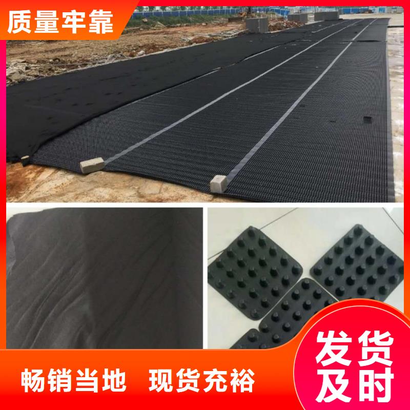 塑料排水板防渗膜工厂直供