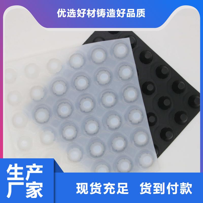 塑料排水板,【复合土工膜】工厂直供