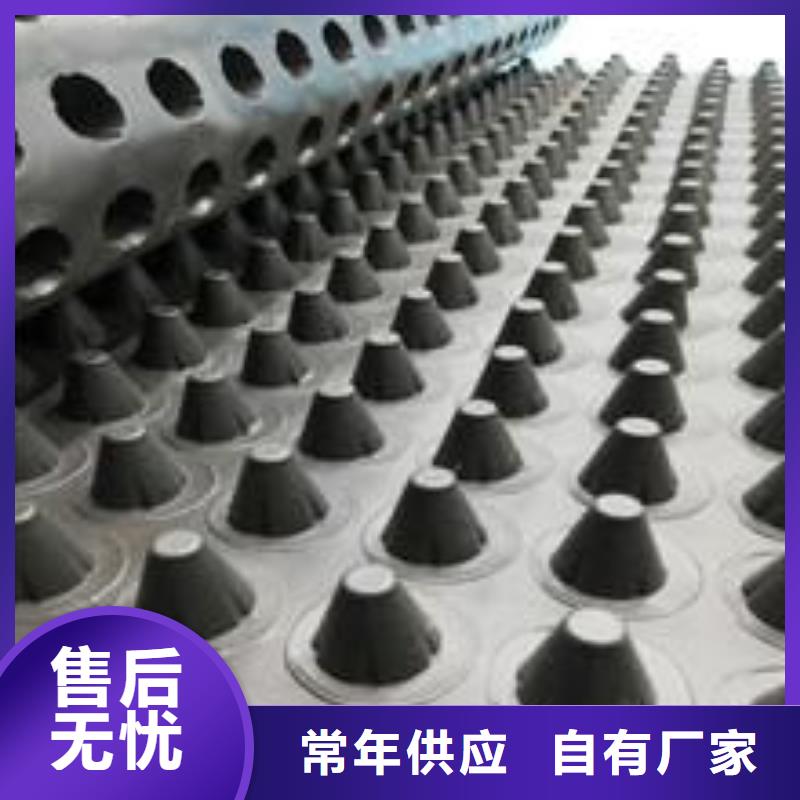 塑料排水板防渗膜工厂直供