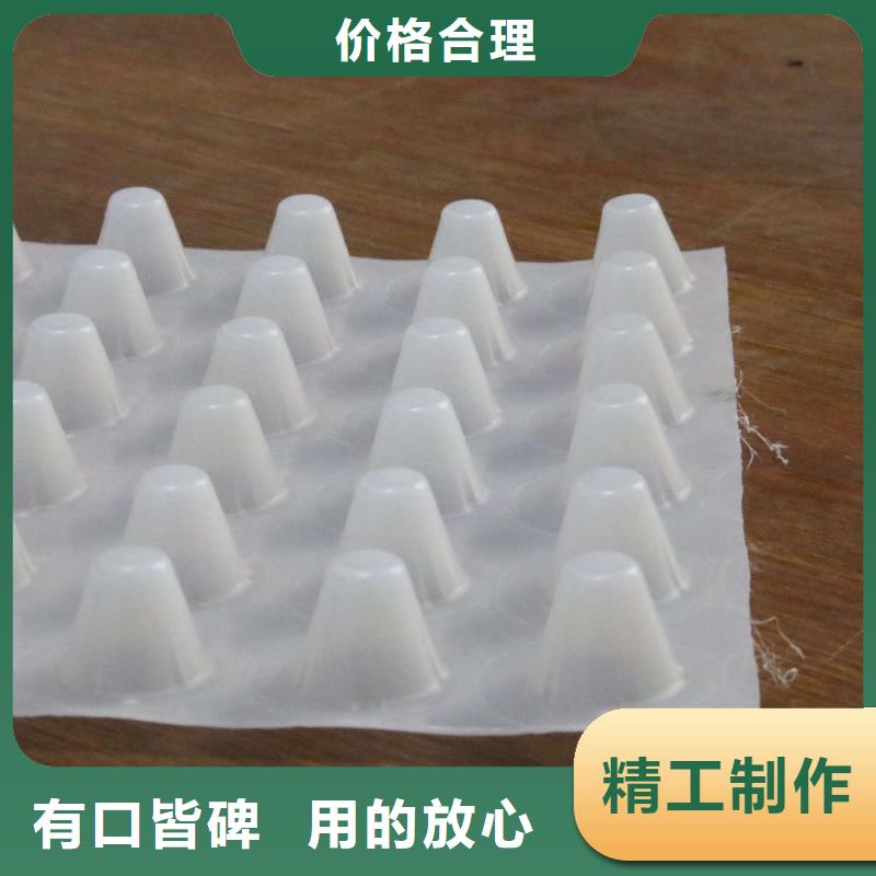 塑料排水板钢塑土工格栅海量现货