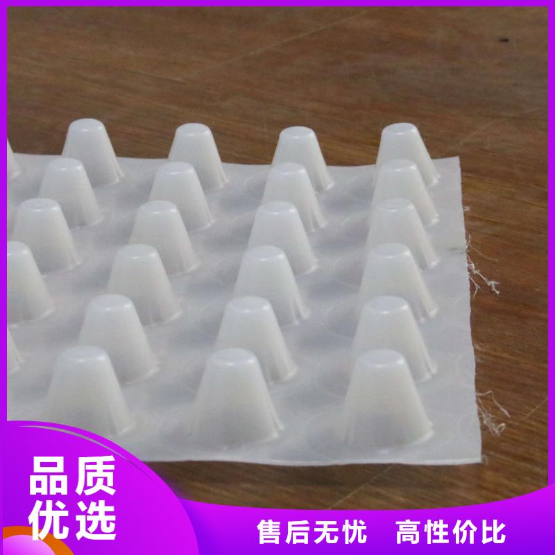 塑料排水板三维土工网垫拥有核心技术优势