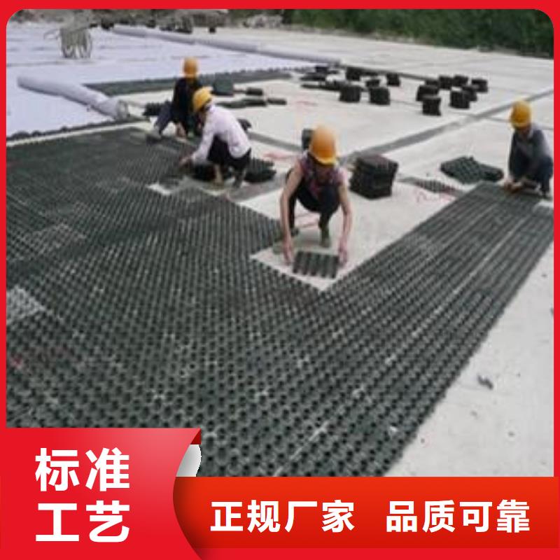 塑料排水板膨润土防水毯现货快速采购