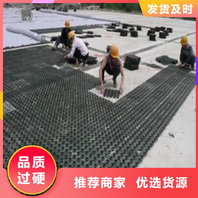 塑料排水板_HDPE黑色土工膜多种场景适用