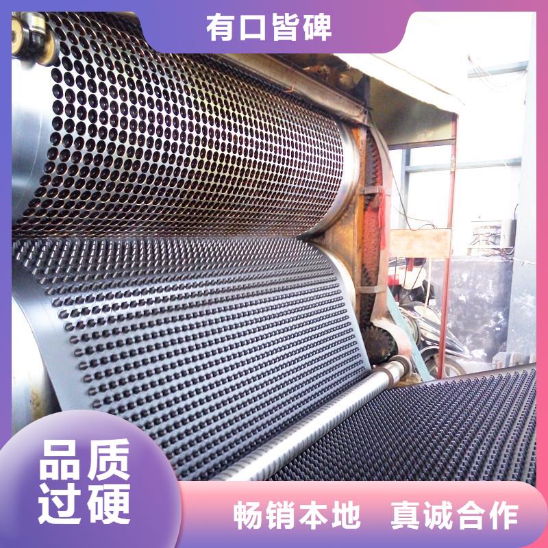 塑料排水板垃圾填埋场材料诚信商家
