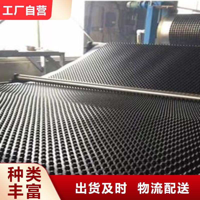 塑料排水板【护坡土工网】使用寿命长久