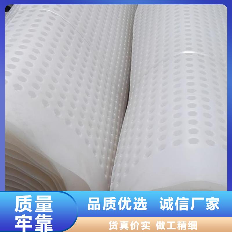 塑料排水板垃圾填埋场材料诚信商家