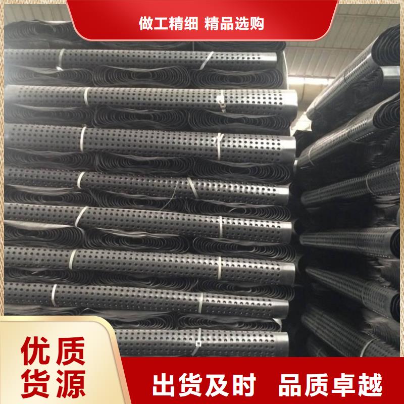 塑料排水板垃圾填埋场材料诚信商家