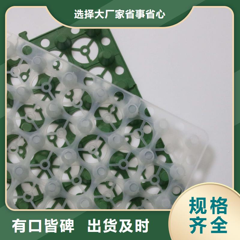 塑料排水板,土工布价格透明