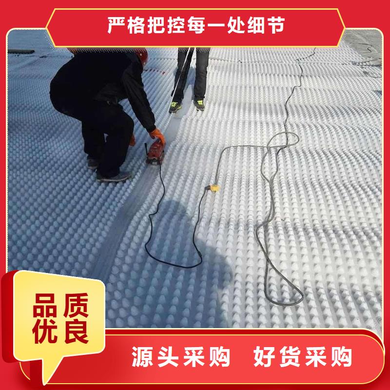 塑料排水板,【土工格室】专注质量