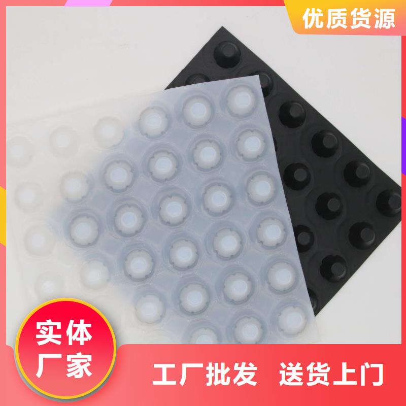 塑料排水板,土工布价格透明