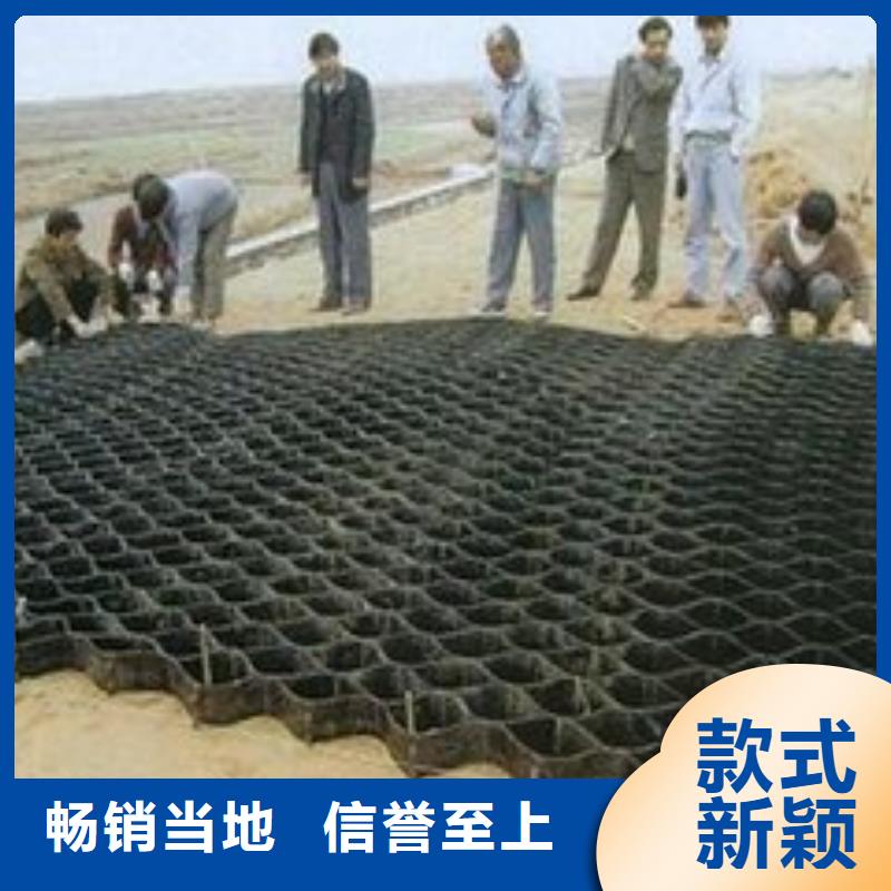 土工格室防渗膜性价比高
