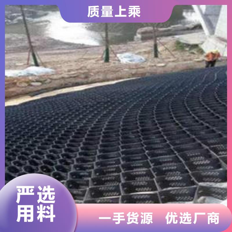 土工格室玻纤土工格栅细节之处更加用心