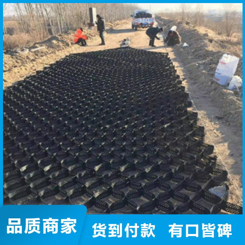 【土工格室】三维土工网垫按需设计
