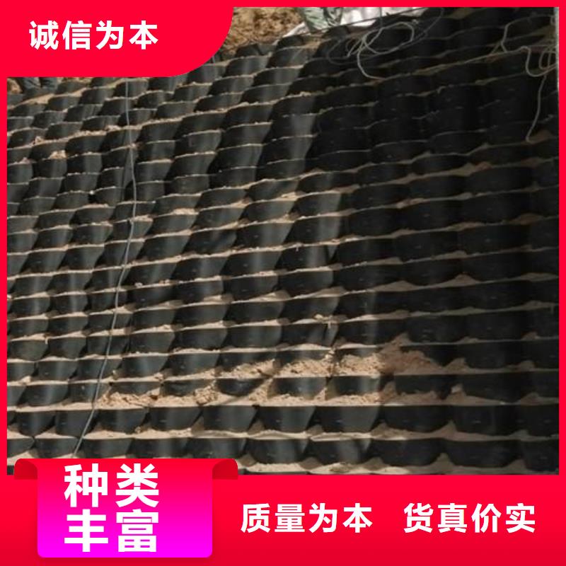 【土工格室】三维土工网垫按需设计