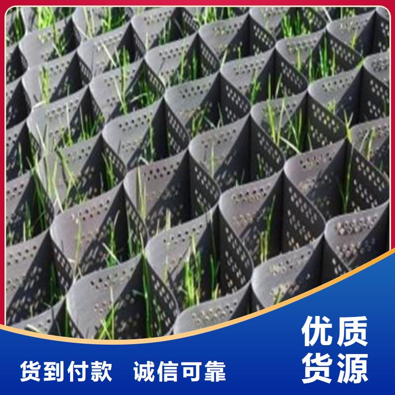 土工格室涤纶土工格栅支持定制贴心售后