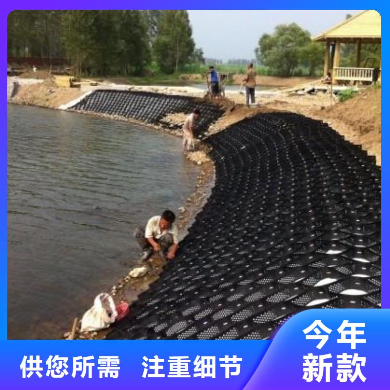 土工格室涤纶土工格栅支持定制贴心售后