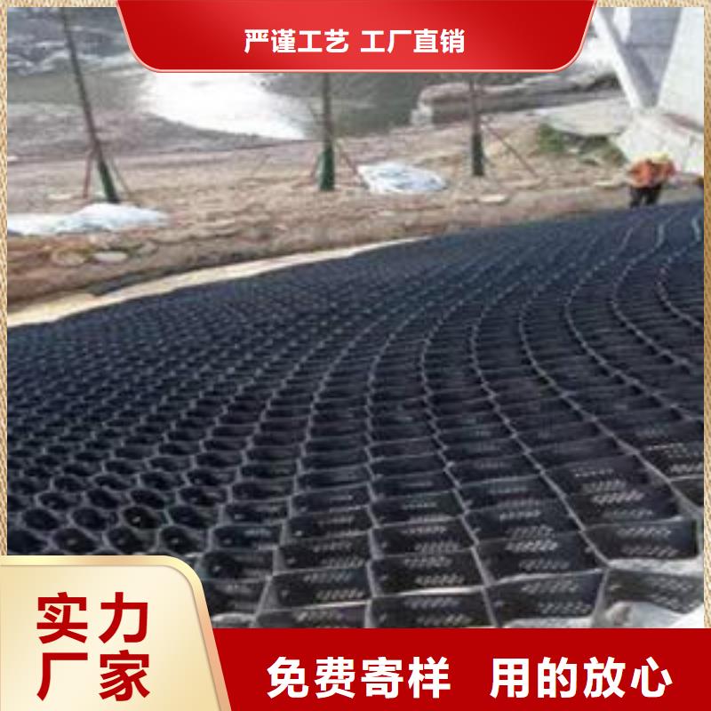 土工格室涤纶土工格栅支持定制贴心售后