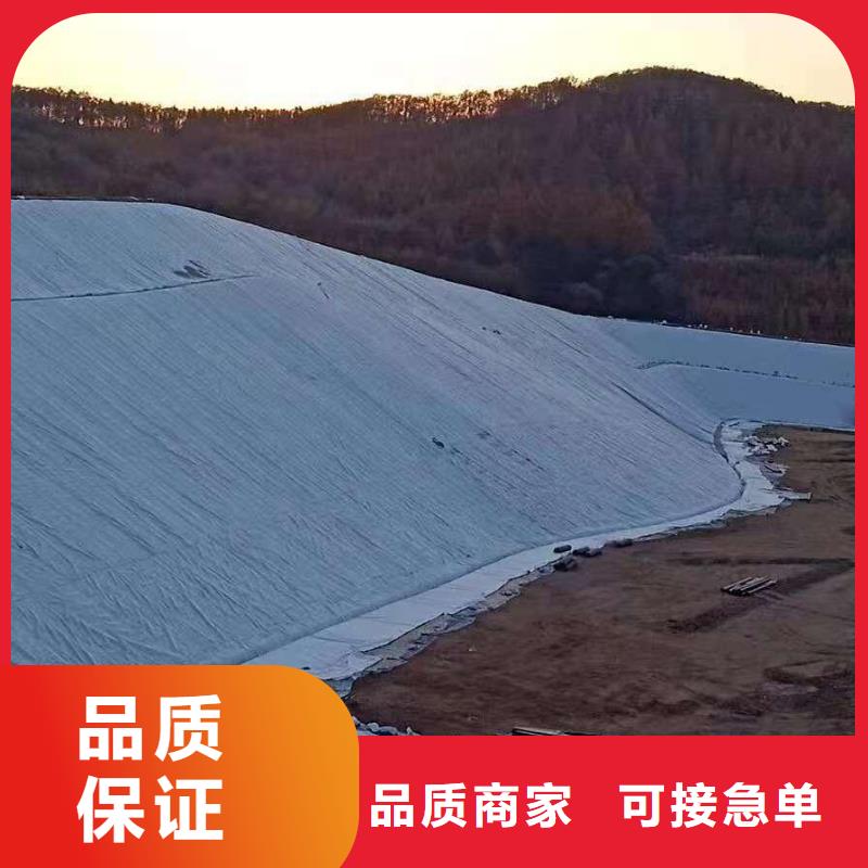 【三维复合排水网_涤纶土工格栅保障】